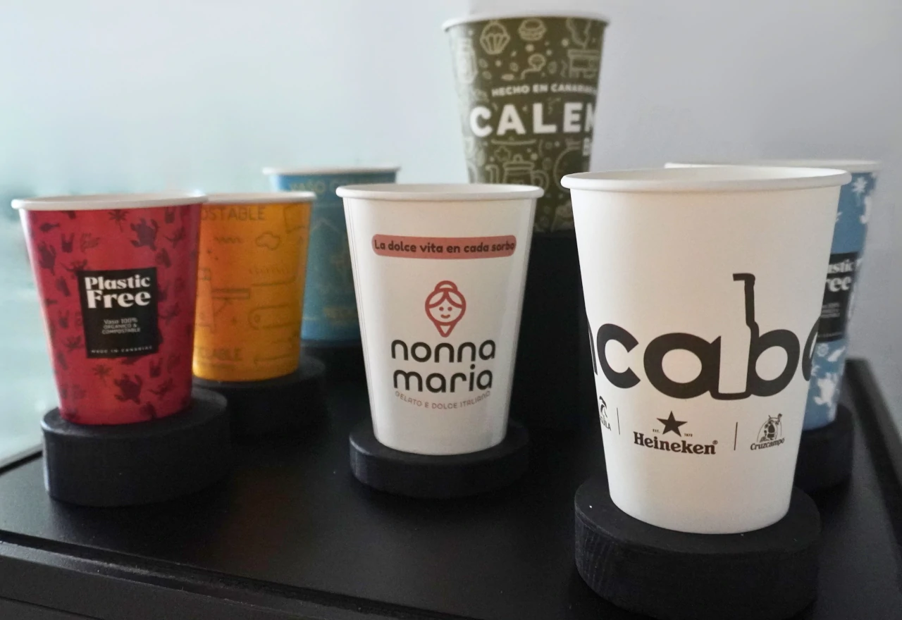 DCUP Vasos de Papel